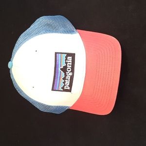 Patagonia Baseball Hat